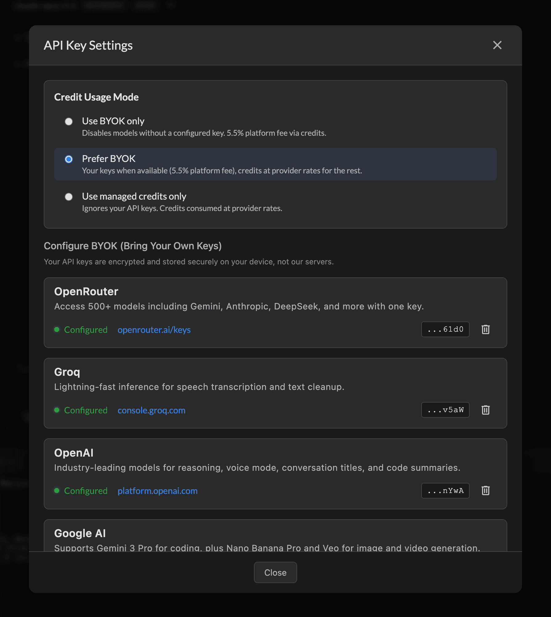 API key settings screen showing provider keys and credit usage modes